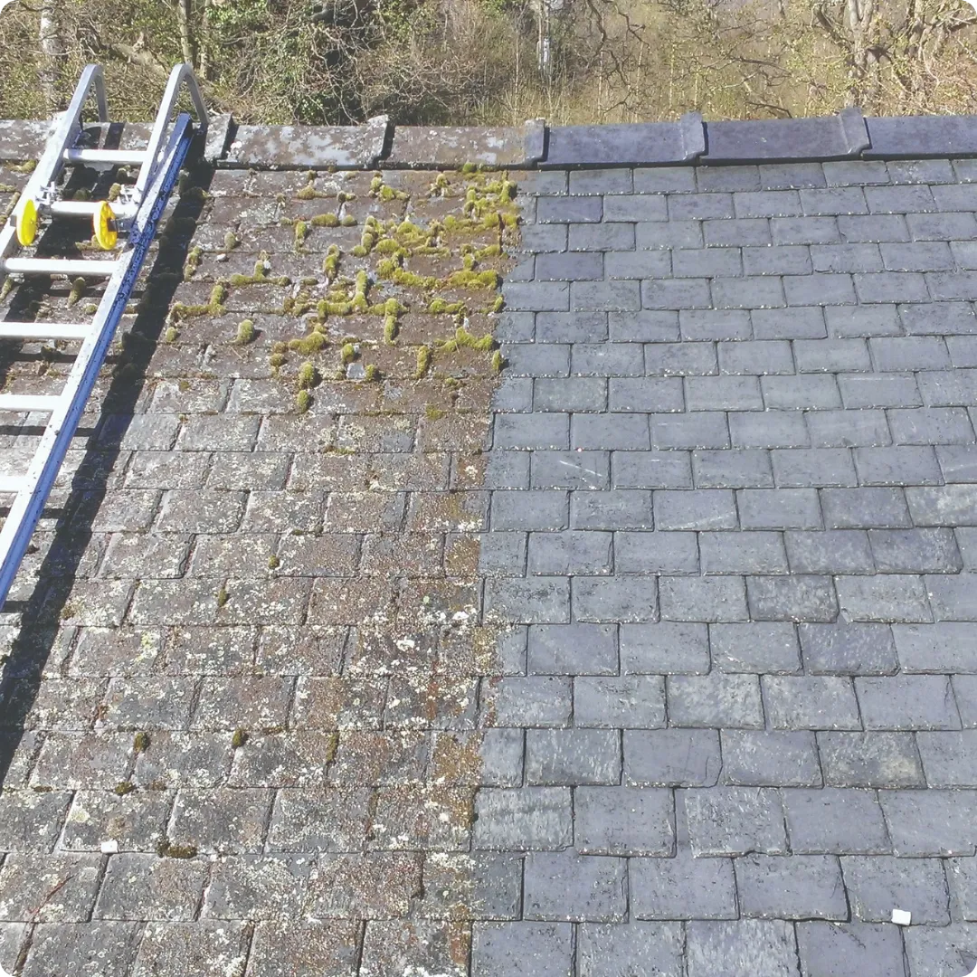 Roof Repairs Colchester