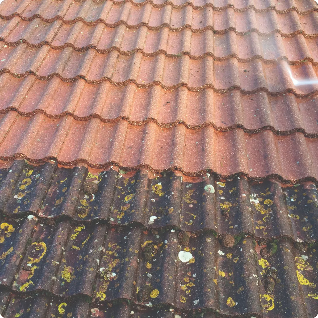 Guttering Colchester