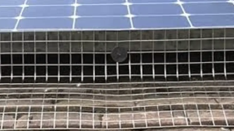 Southend-on-Sea Solar Panel Cleaning & Bird Protection