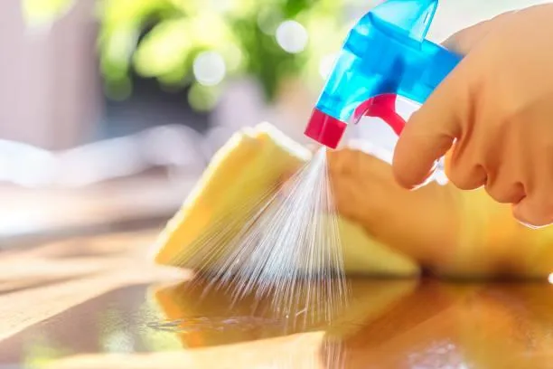Melrose Park, Illinois Home Cleaning