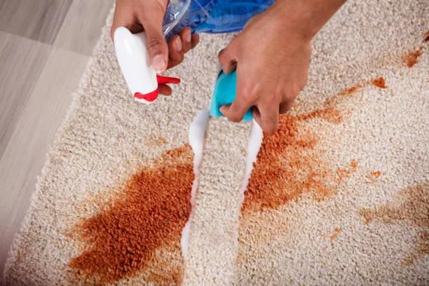  Home Cleaning