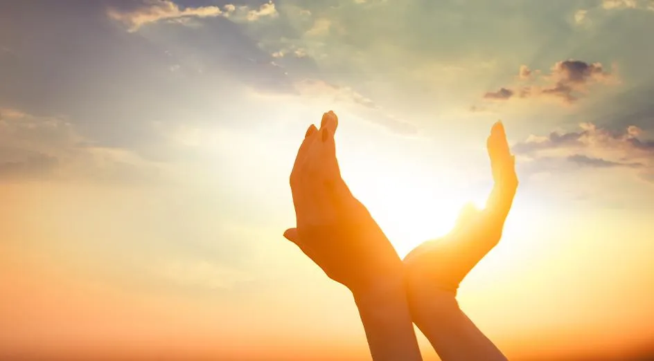 A foggy field with trees in the background