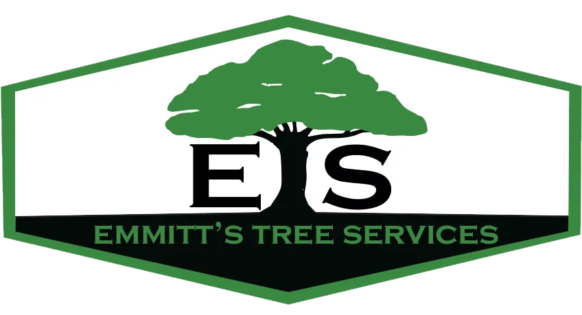 https://emmittstreeservices.ca/images/hero-forest.