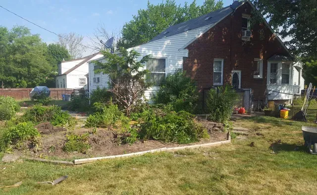 Before photo of a residential backyard with overgrown landscaping, showing a messy garden area that is ready for a hardscape design and renovation project.