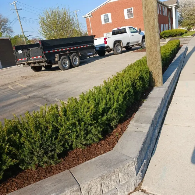 Commercial hardscape design featuring a low gray block planter wall and new landscaping with a row of green shrubs and mulch bordering a parking lot.