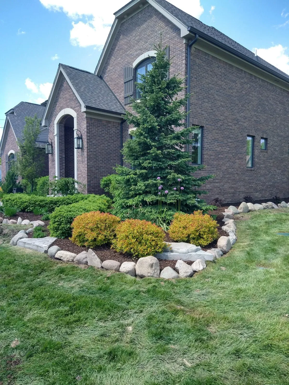 Detailed shot of a well-maintained residential front yard landscape, featuring a large evergreen tree, colorful bushes, mulch beds bordered by decorative rocks, and a healthy lawn.