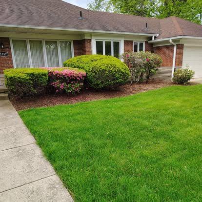 Beautifully maintained residential front yard featuring a lush green lawn, neatly trimmed hedges, and blooming bushes in front of a brick home.