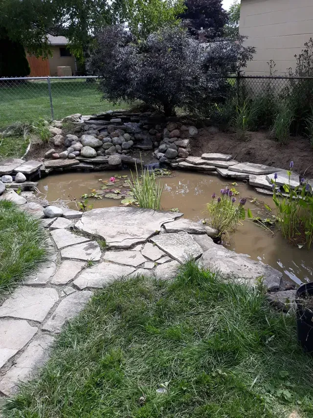 Natural stone residential water feature showcasing a pond and a surrounding flagstone path, with small aquatic plants and a rock waterfall in the background.