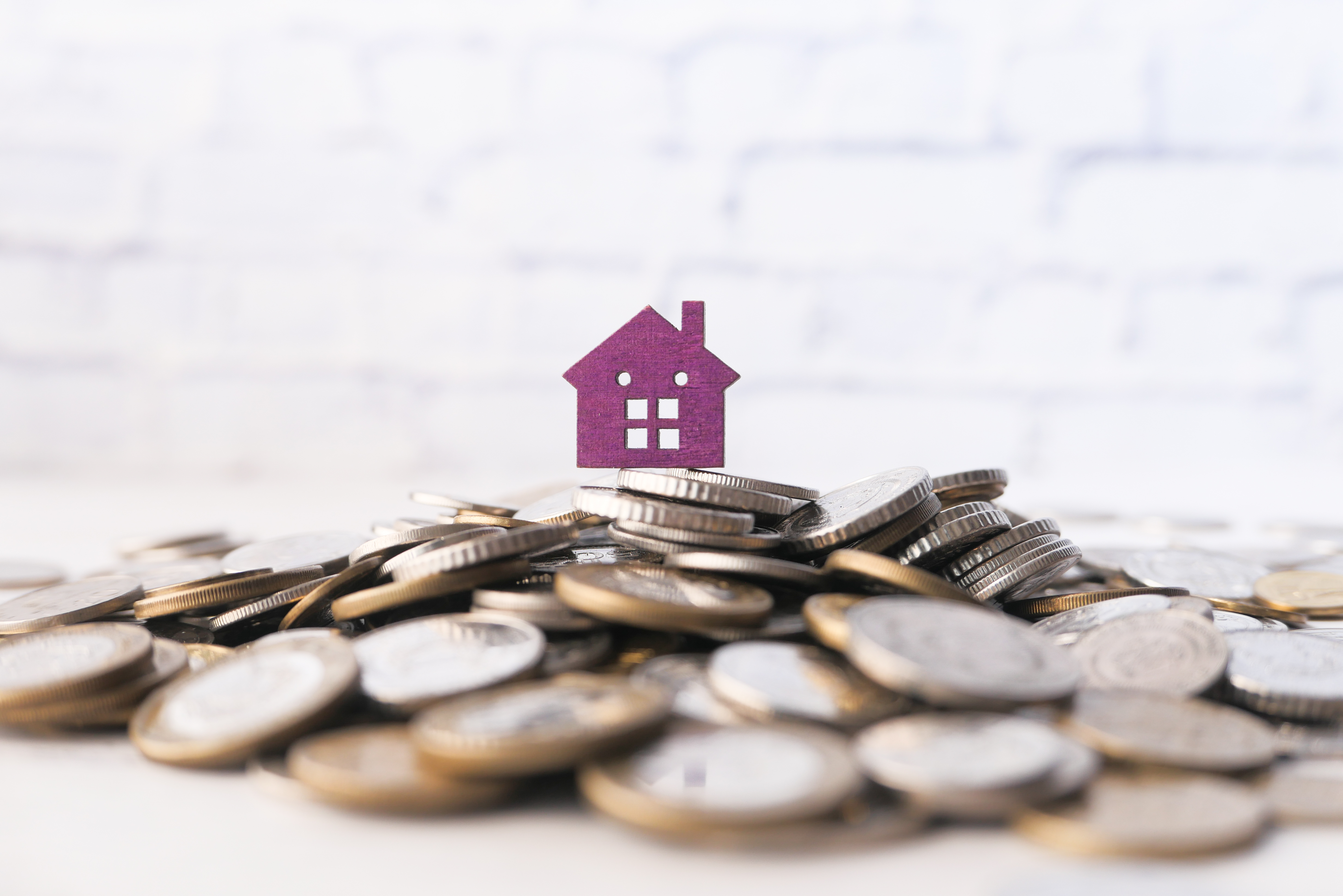 April Market Literacy: 4.4% Appreciation in Brighton Housing