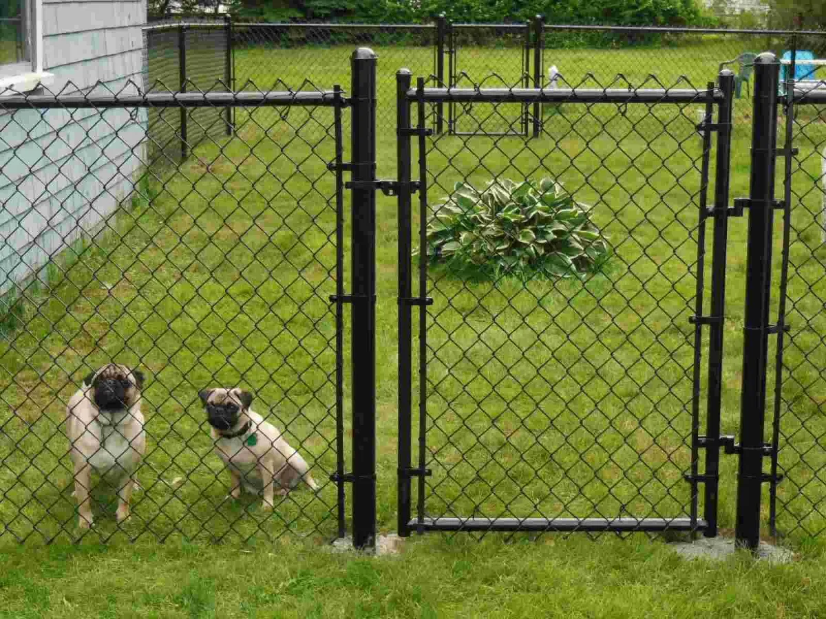 chain link fence installation naples fl