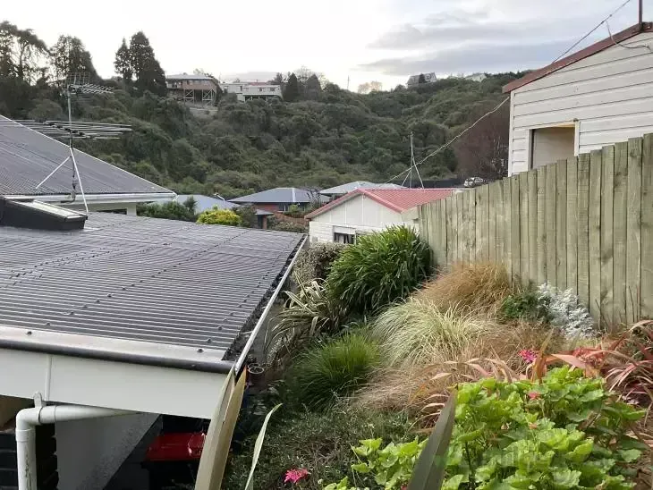 Clean residential gutter and roof after professional exterior washing in Dunedin, surrounded by a tidy garden and fencing