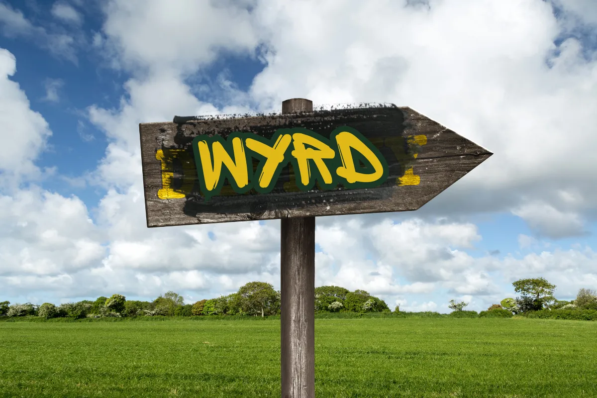 Wyrd, Fate and the Camino de Santiago: Learning to Trust the Unexpected