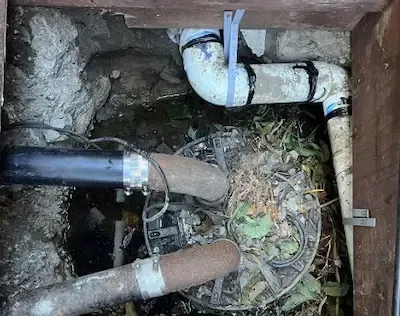 Excavated sewer line showing tree root damage and pipe debris beneath yard in Bexley by Bexley Plumbing Pros