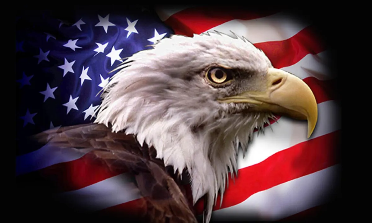 Albuquerque veteran owned automotive repair