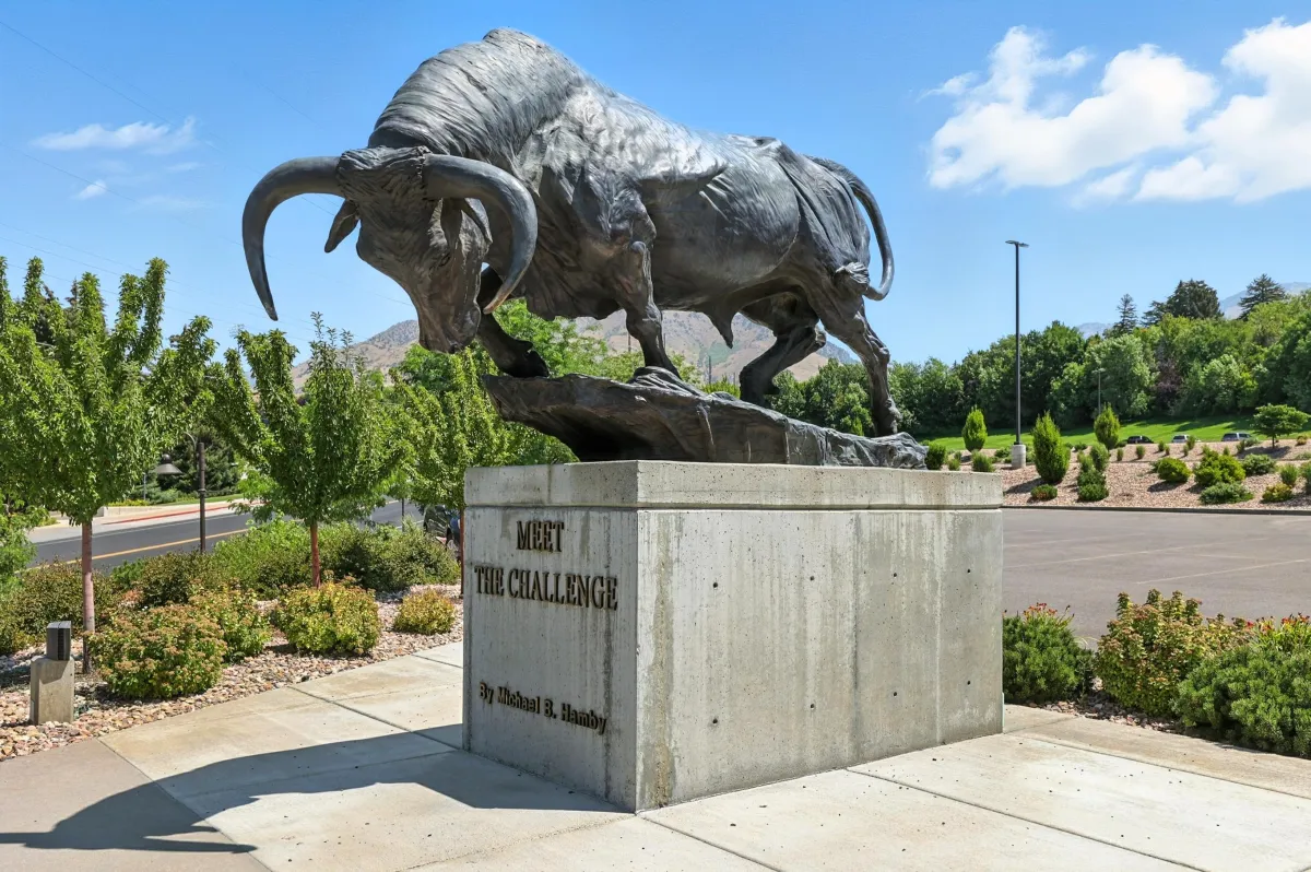a modern house with a pool in the middle of the yard