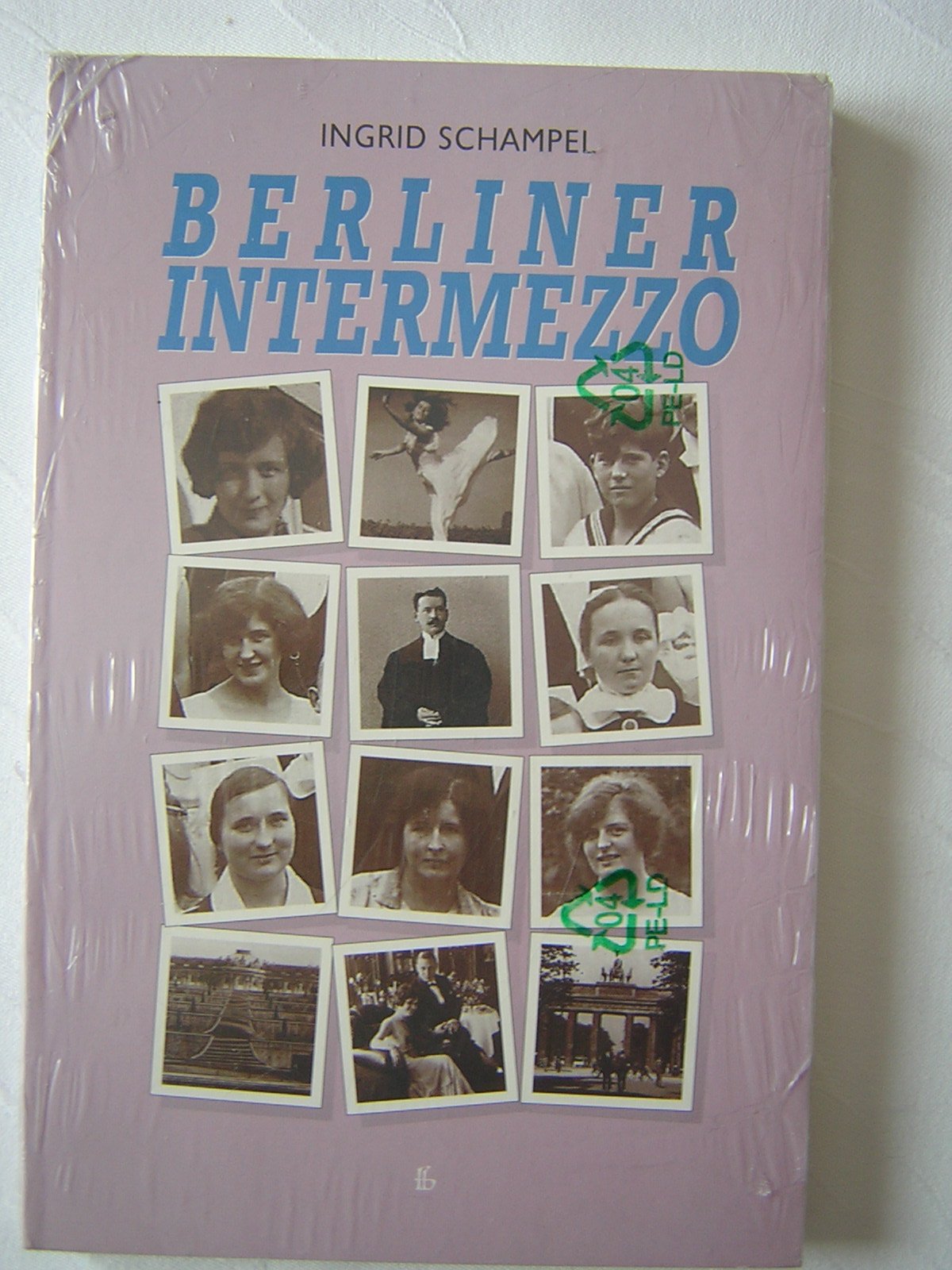 Cover „Masken, Mord und Schneeblockade“ – Platzhalter, bitte durch das echte Cover ersetzen