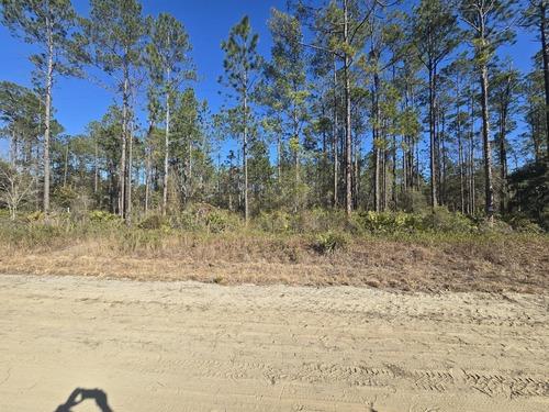 Cleared property with preserved pine tree line after land clearing by J.F. Pro Services LLC in Lake Helen, FL.
