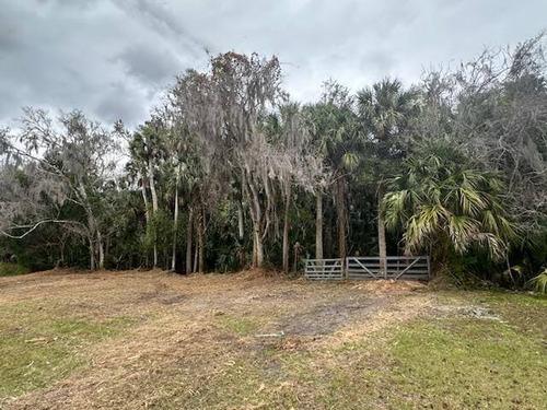 Cleared property entrance with gate and cabbage palms with spanish moss after brush clearing by J.F. Pro Services LLC in Lake Helen, FL.