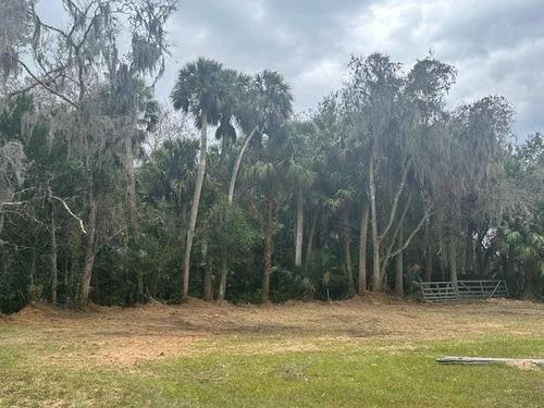 Cleared lot with preserved palms and moss-draped oaks after vegetation management by J.F. Pro Services LLC in Lake Helen, FL.