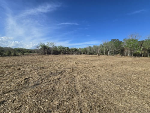 Site preparation in Lake Helen FL with fully cleared lot ready for construction or building