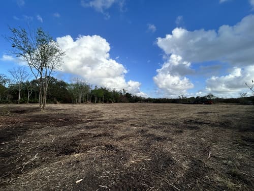 Forestry mulching project in Central Florida creating open land with natural ground cover