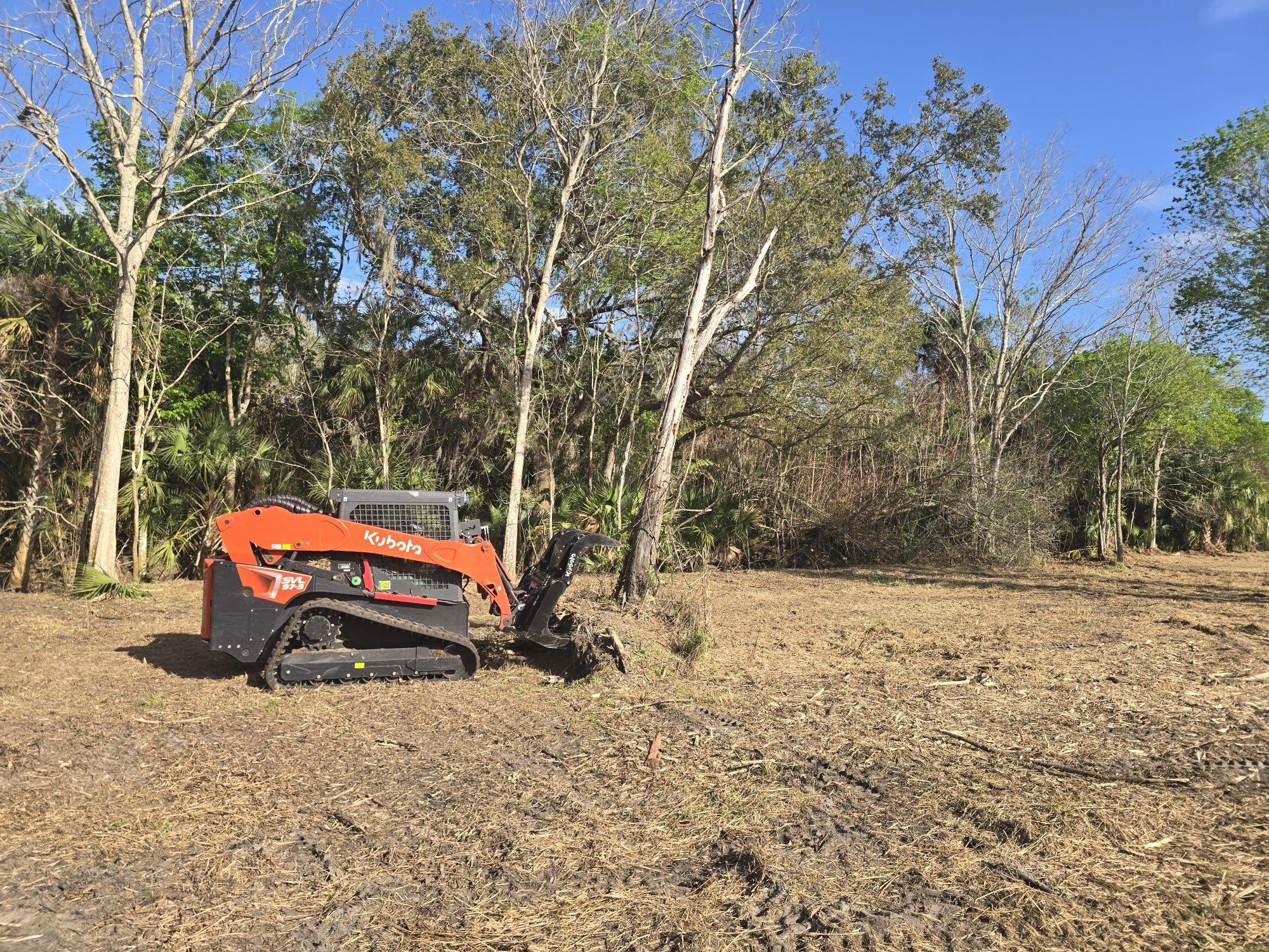 Kubota tracked loader with tree shear attachment gripping a tree during a tree service job in Lake Helen FL