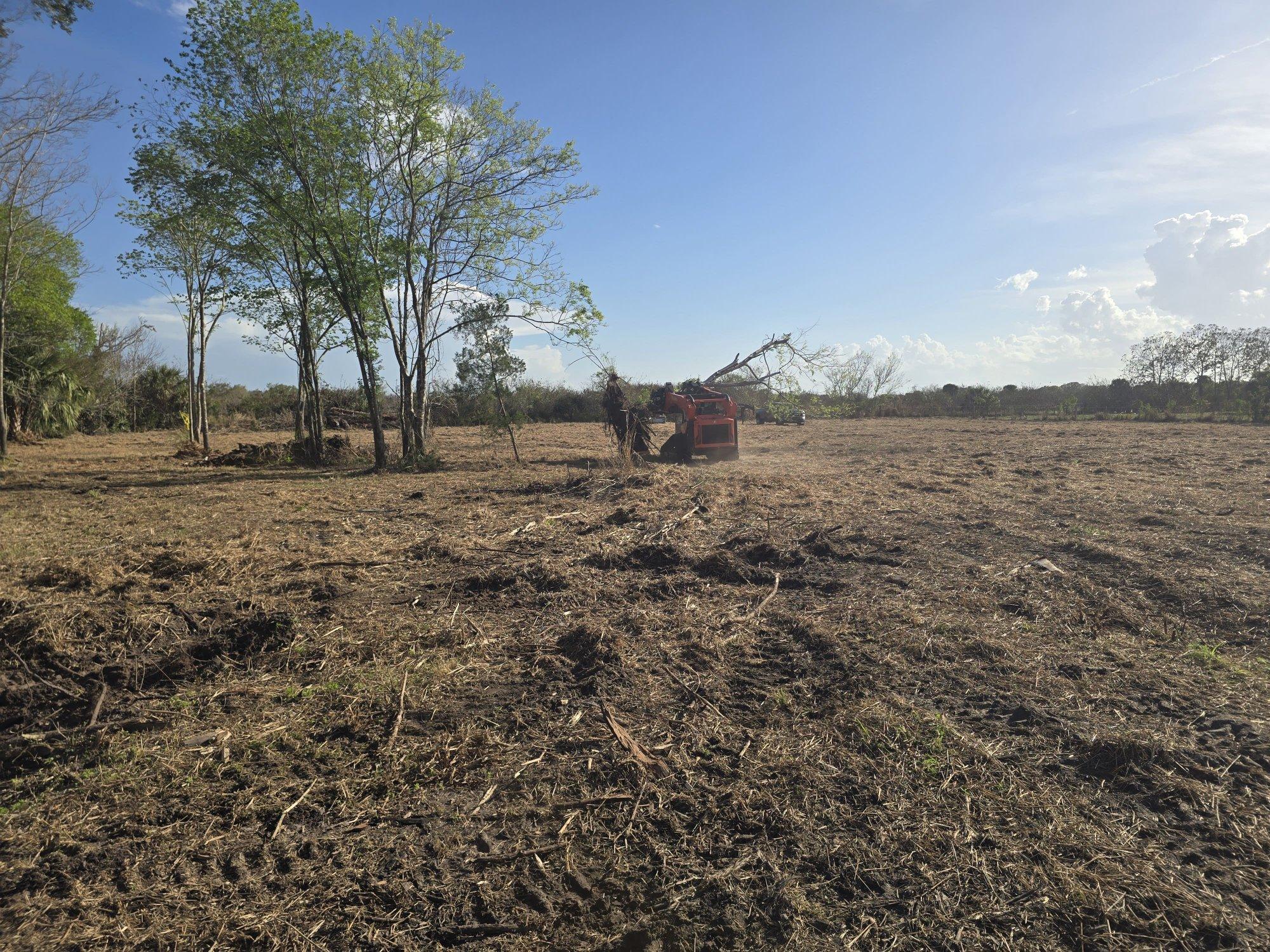 Large property cleared of brush and trees with mulch spread across the ground in Central Florida