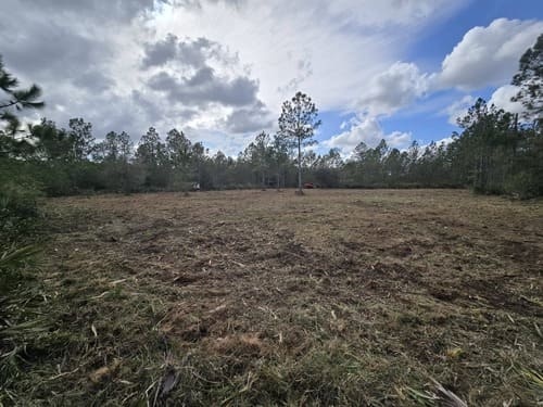 Finished land clearing project by J.F. PRO SERVICES LLC in Lake Helen, FL showing a clean, open property with a single preserved pine tree and surrounding tree line.
