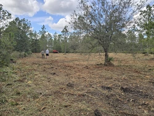 J.F. PRO SERVICES LLC crew walking a freshly cleared property in Lake Helen, FL with a preserved oak tree and mulching equipment in the background.
