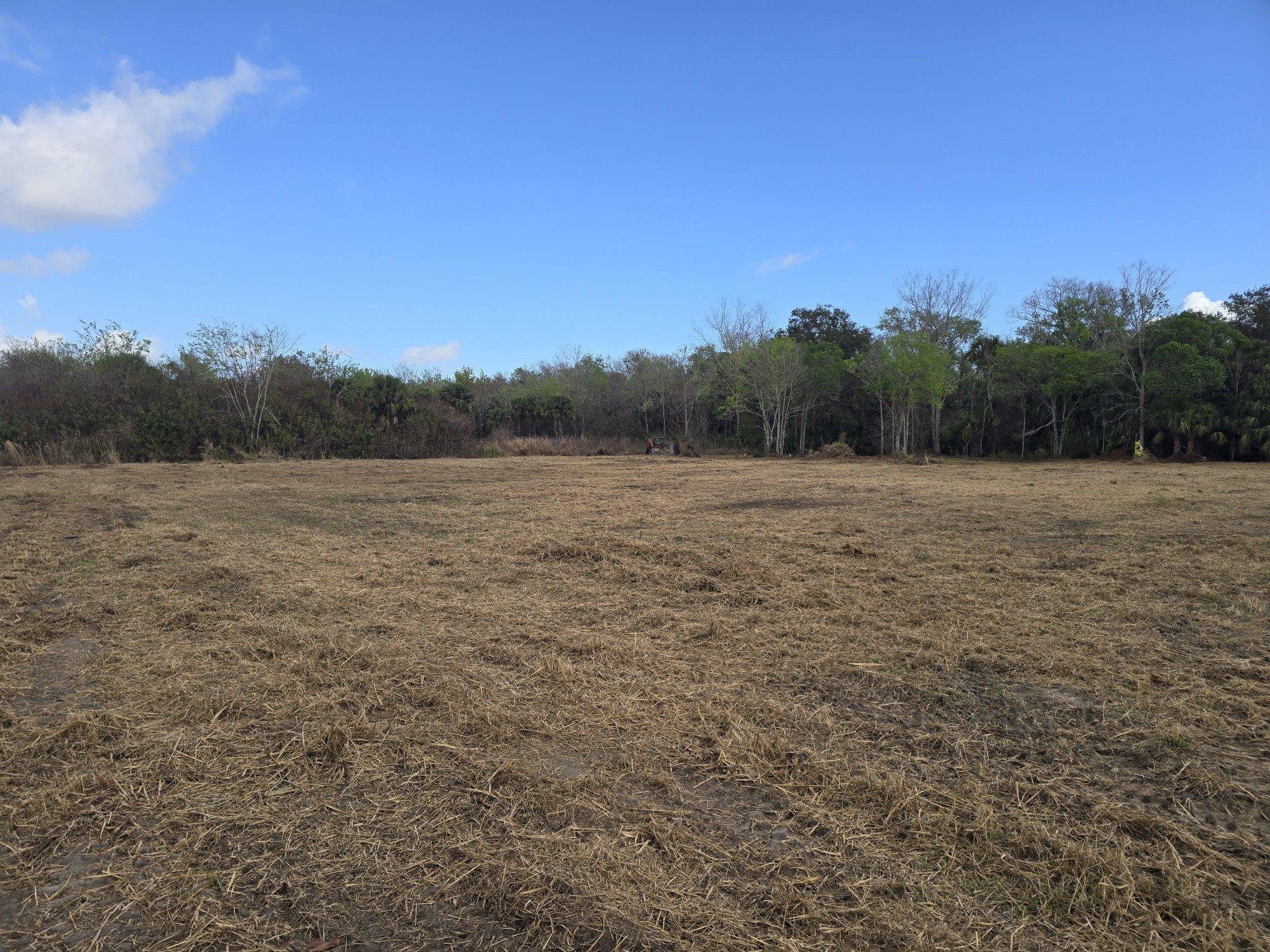 Open acreage after land clearing by J.F. PRO SERVICES LLC with mulched ground cover and preserved tree line along the perimeter in DeLand, Florida.