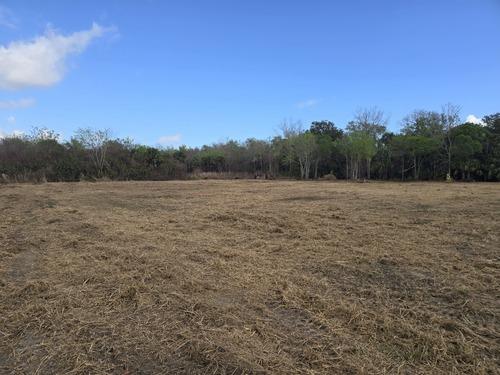 Open acreage with mulched ground cover and preserved tree line after land clearing by J.F. PRO SERVICES LLC in DeLand, FL.