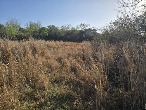Overgrown lot with tall dry grass and dense brush before land clearing by J.F. PRO SERVICES LLC in DeLand, FL.