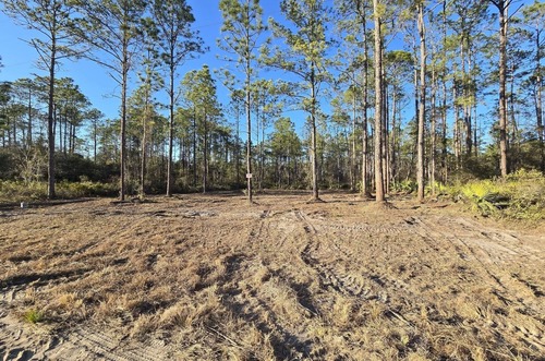 Cleared lot with preserved pine trees after forestry mulching by J.F. PRO SERVICES LLC in Deltona, FL.