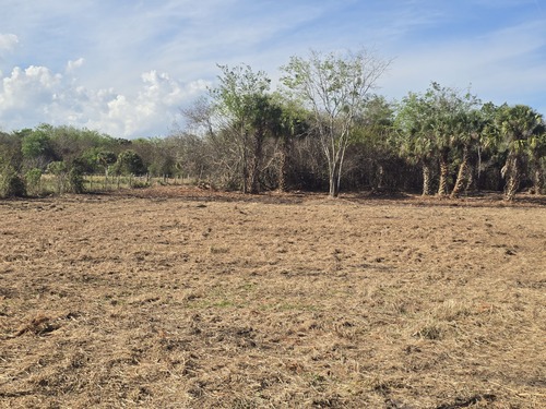 Cleared residential lot with preserved trees and mulched ground cover after land clearing by J.F. PRO SERVICES LLC in Deltona, FL.