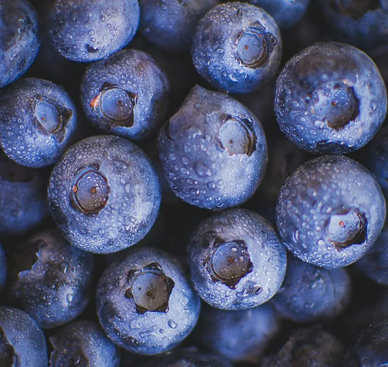 Photo by Yura Batiushyn on Unsplash   