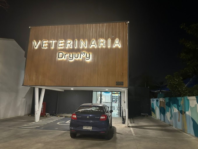 De Kattenklniek store beside orange and white cat at daytime