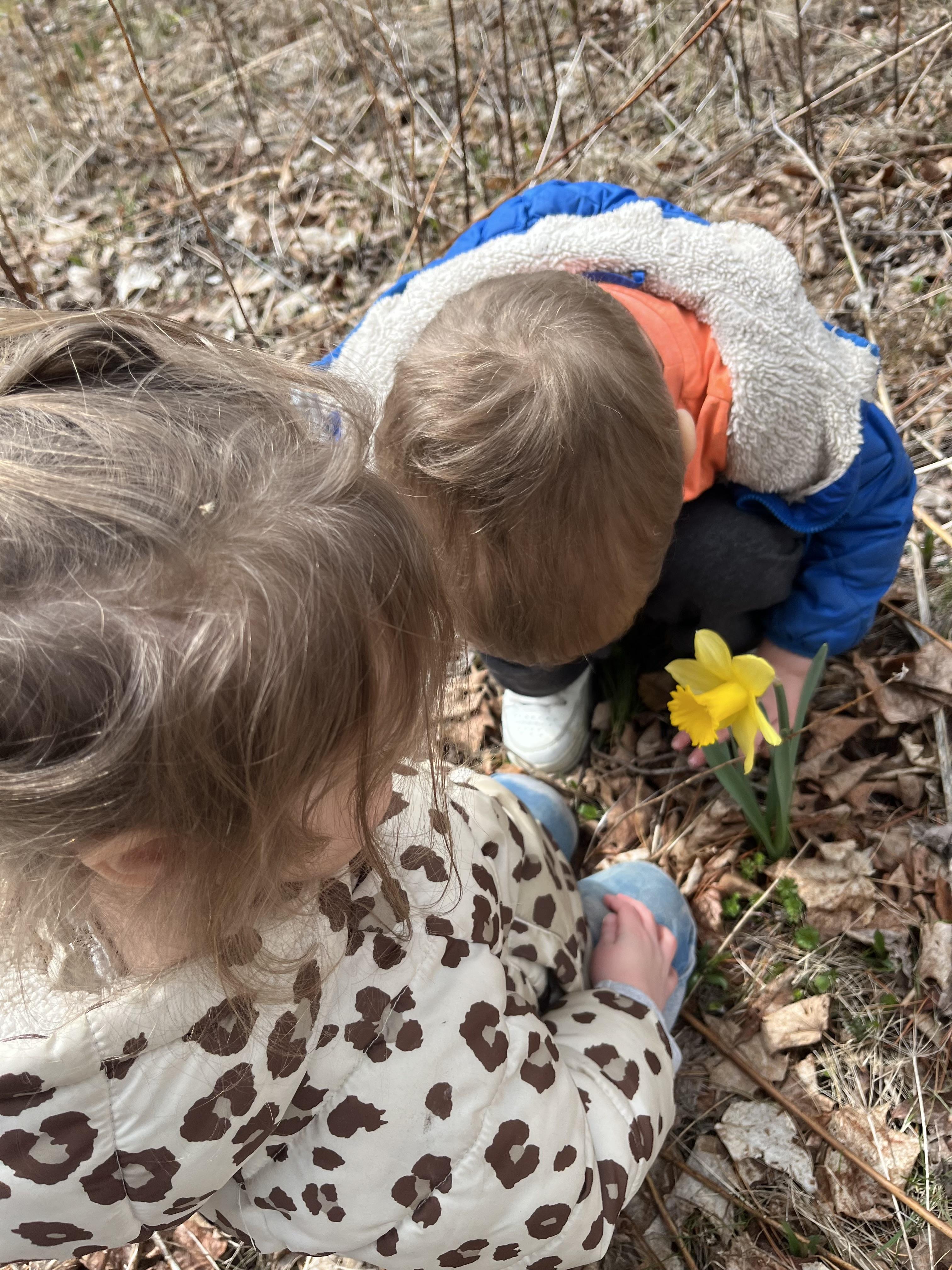 Illustrated cover of a children’s herbalism guide by Erica Marie Coston