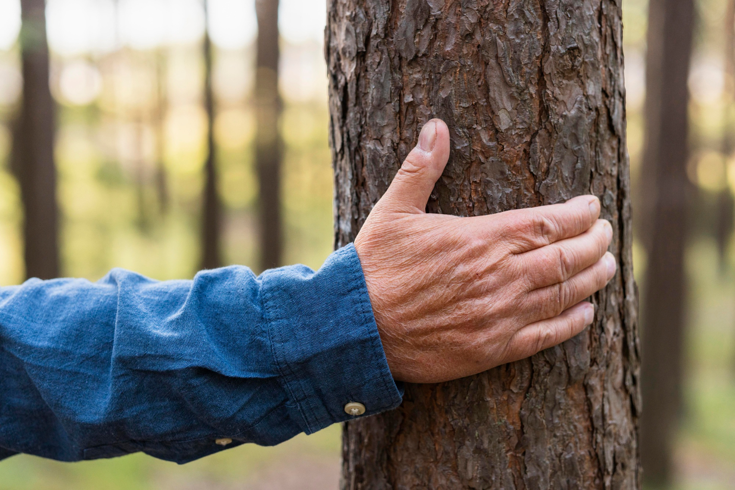 Diagnosing Profit Leaks for Tree Service Companies Before Busy Season