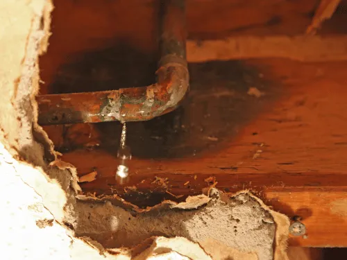 Leak Detection in Wesley Chapel, FL