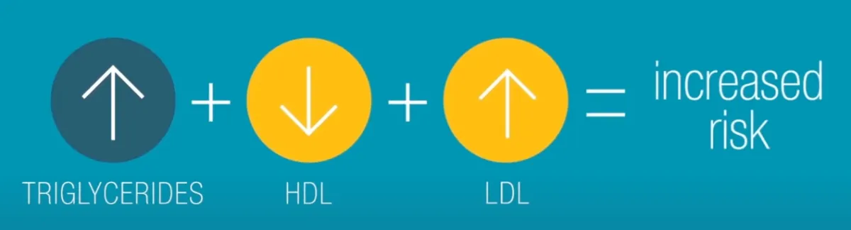 Factors that increase the risk of Dyslpidemia
