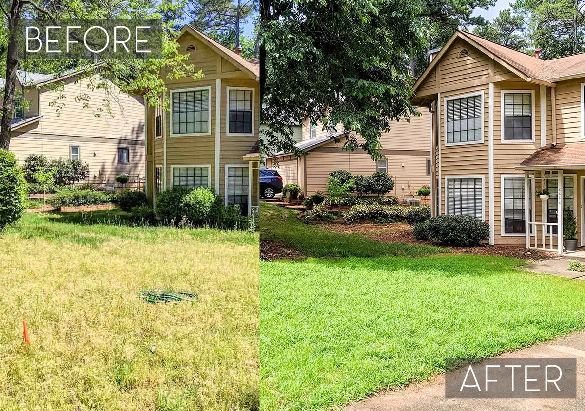 before and after lawn care
