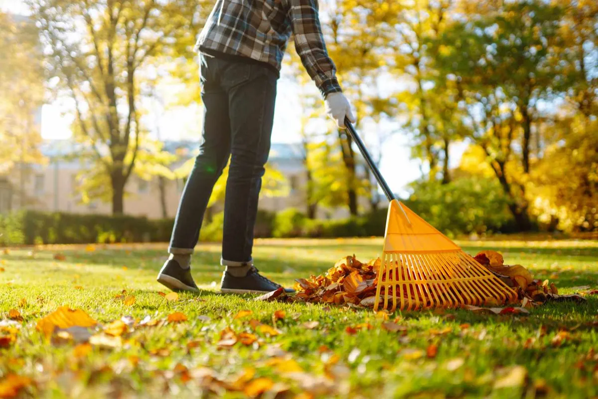 October lawn care tips