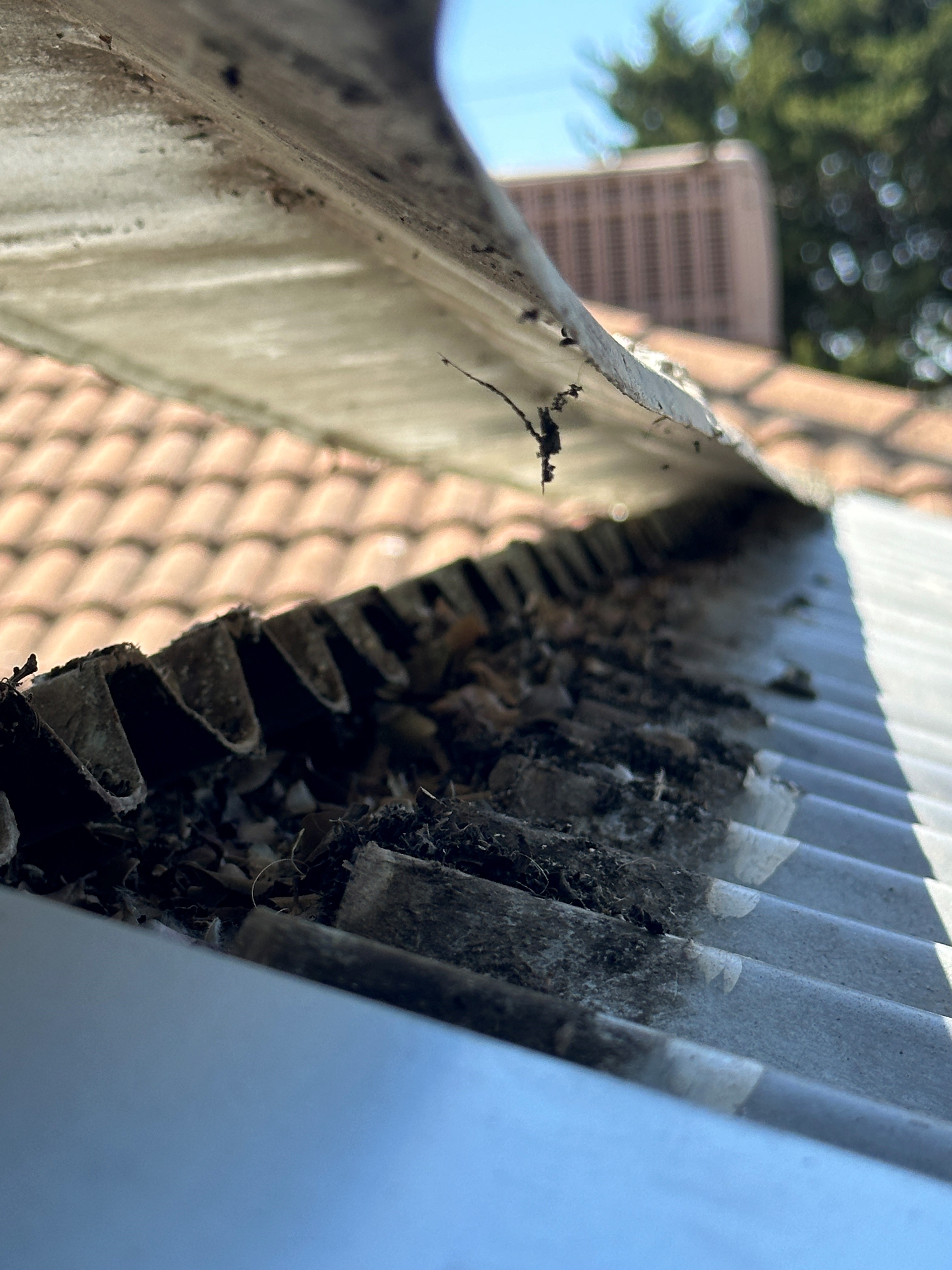 Simfield Services Gold Coast residential plumbers