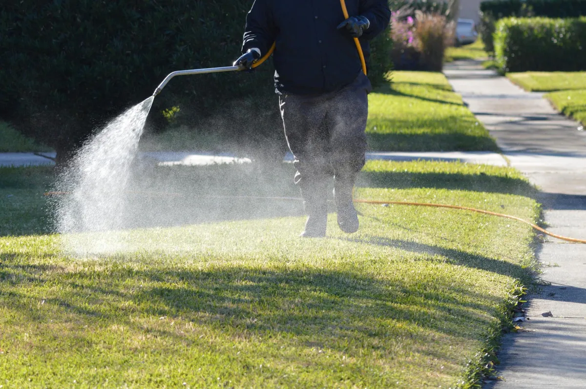fertilization and weed control