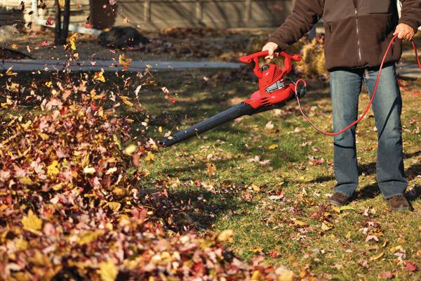spring and fall cleanup