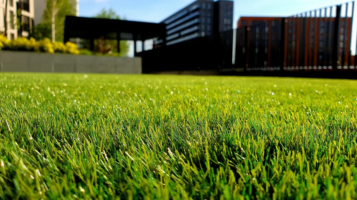 company lawn care