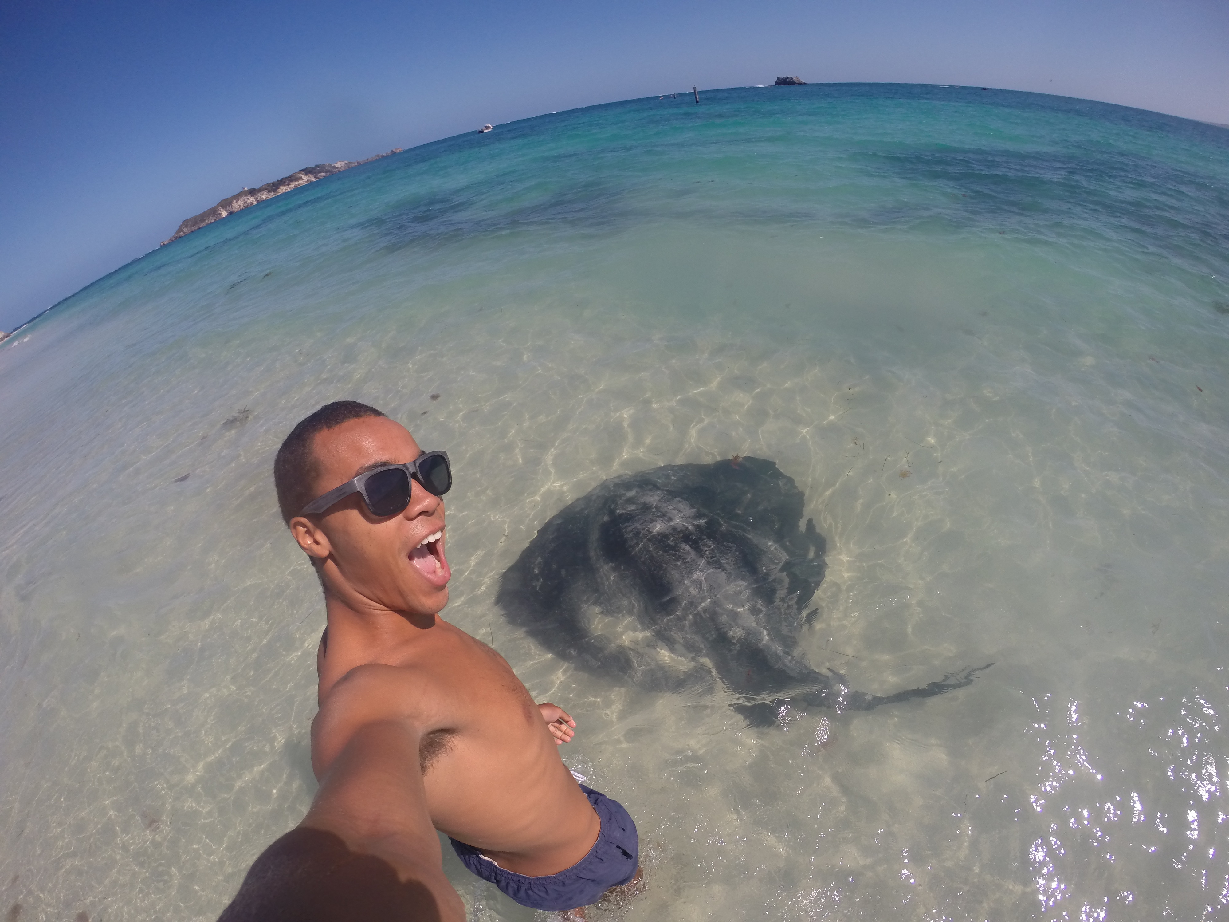 Meet Your Instructor