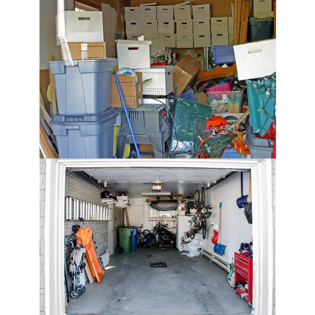 green plant on white and purple floral ceramic pot