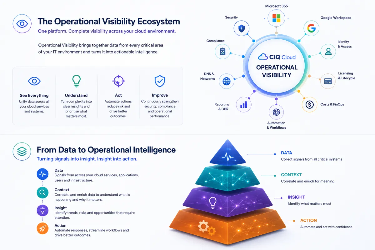 Operatioal Viibility - from Data to Operational Intelligence