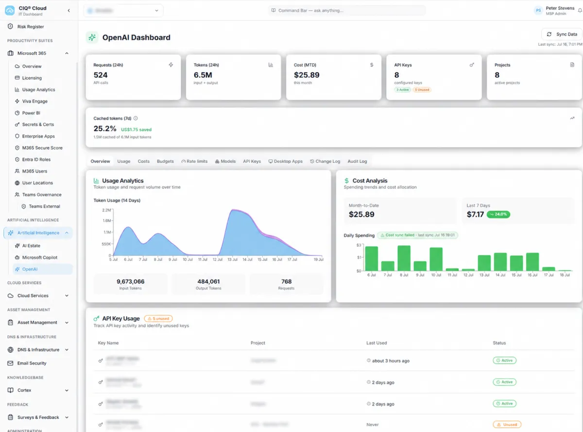 CIQ Cloud - OpenAI Dashboard